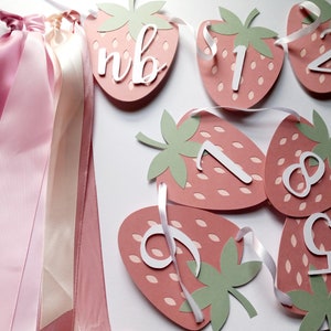 Strawberry Photo Banner, Berry 1st Birthday Decor, Strawberry Milestone First Year, Strawberry Monthly Banner, 12 Month Picture Display