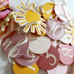 Boho Sun Photo Banner, Milestone Banner, Monthly Photo Banner, Sunshine Theme Photo Clips, 12 Months, You Are My Sunshine Pictures