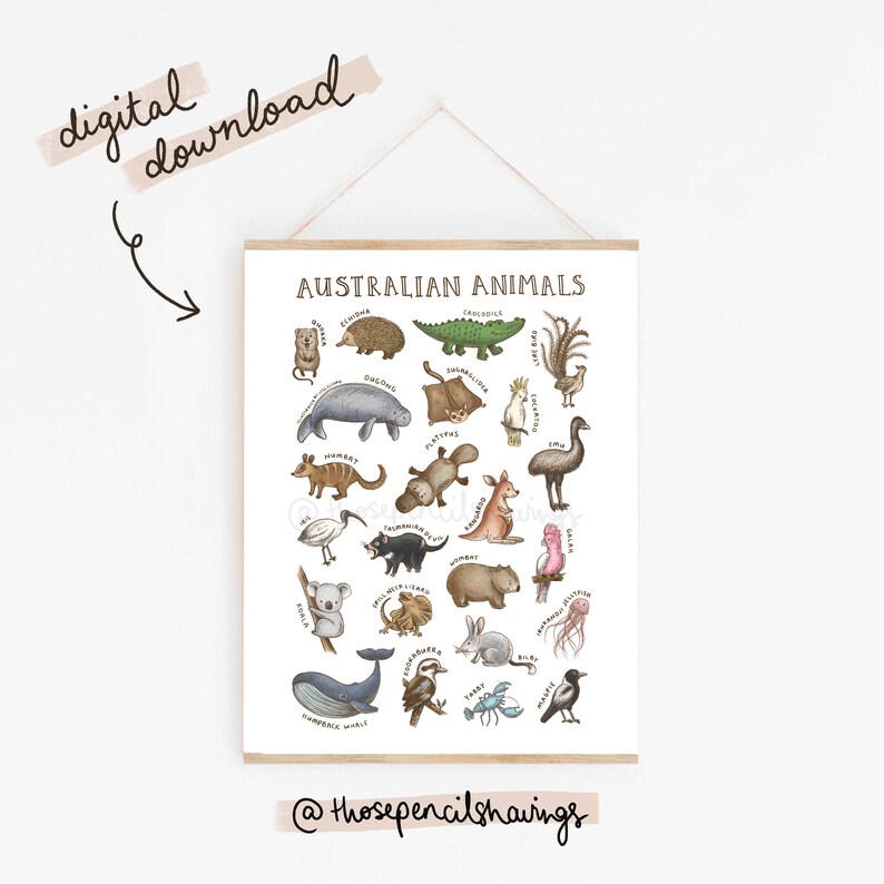 Australian Animals Print Types of Aussie Animals Poster Nursery Kids Bedroom Decor Classroom Field Guide Digital Download image 2