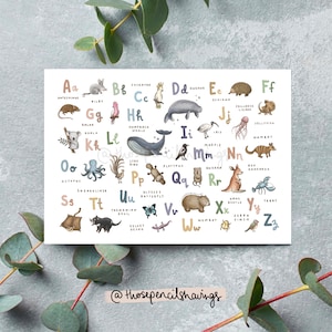 postale australienne d'alphabet d'animaux | Jolie impression animalière de A à Z | Souvenir ou cadeau australien illustré