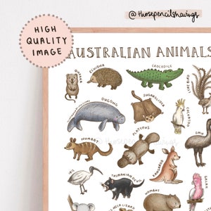 Australian Animals Print Types of Aussie Animals Poster Nursery Kids Bedroom Decor Classroom Field Guide Digital Download image 3