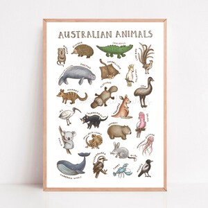 Australian Animals Print Types of Aussie Animals Poster Nursery Kids Bedroom Decor Classroom Field Guide Digital Download image 4