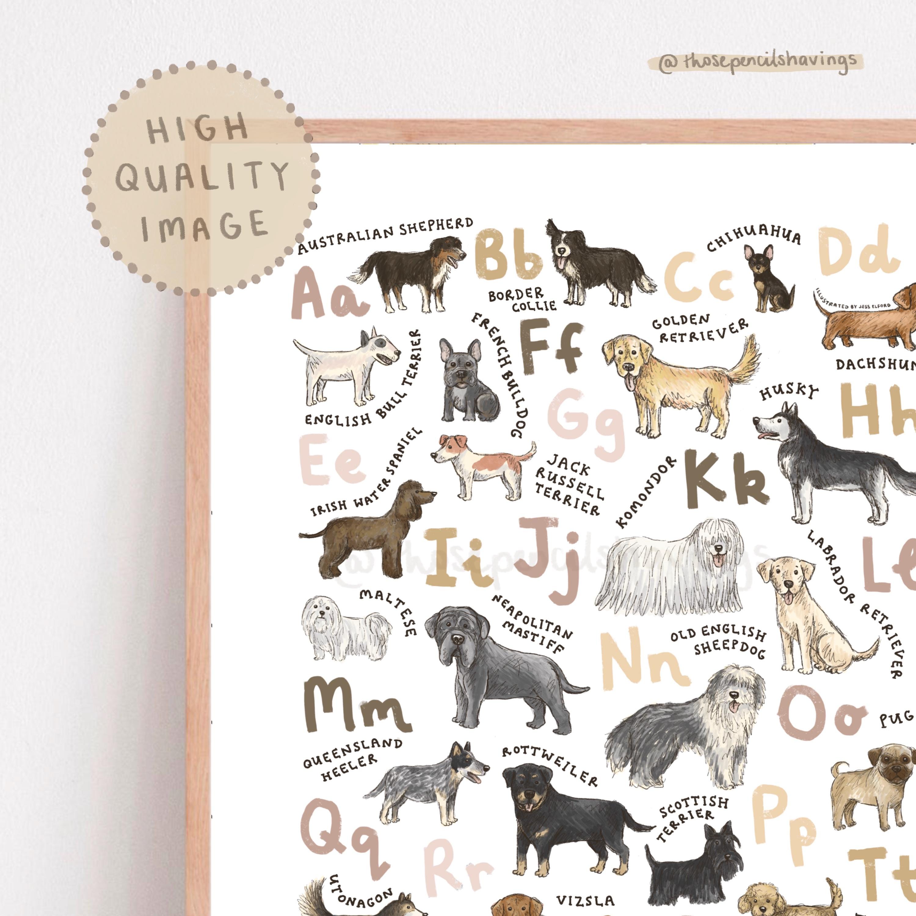 Dog Breeds Alphabet Print: Illustrated A-Z Puppy Poster - Etsy 日本