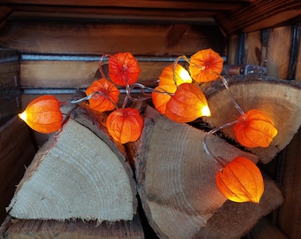 Lichterkette Physalis Lampionblume Orange 10 Lichter