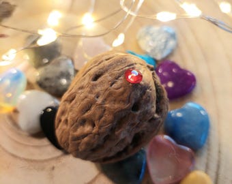 Zaubernuss verschiedene Edelsteine  Herz Walnuss mit verstecktem Schatz Adventskalender Mystery  Nut