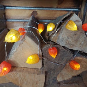 Op de afbeelding: Een lichtsnoer met LED-lampjes voorzien van decoratieve kapjes in de vorm van physalis-omhulsels in levendige oranje en gele tinten. De doorschijnende omhulsels worden van binnenuit verlicht, wat een warme gloed geeft langs het dunne, doorzichtige snoer.