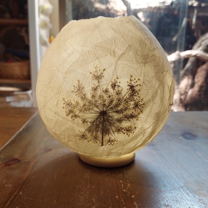 Könnte beinhalten: Ein weißer Papierlampenschirm mit einer gepressten Trockenblume im Inneren. Der Lampenschirm ist rund und hat eine strukturierte Oberfläche. Die Blume ist eine braune und weiße Wildblume.