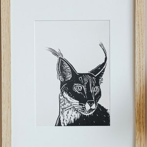 Linogravures Le Caracal
