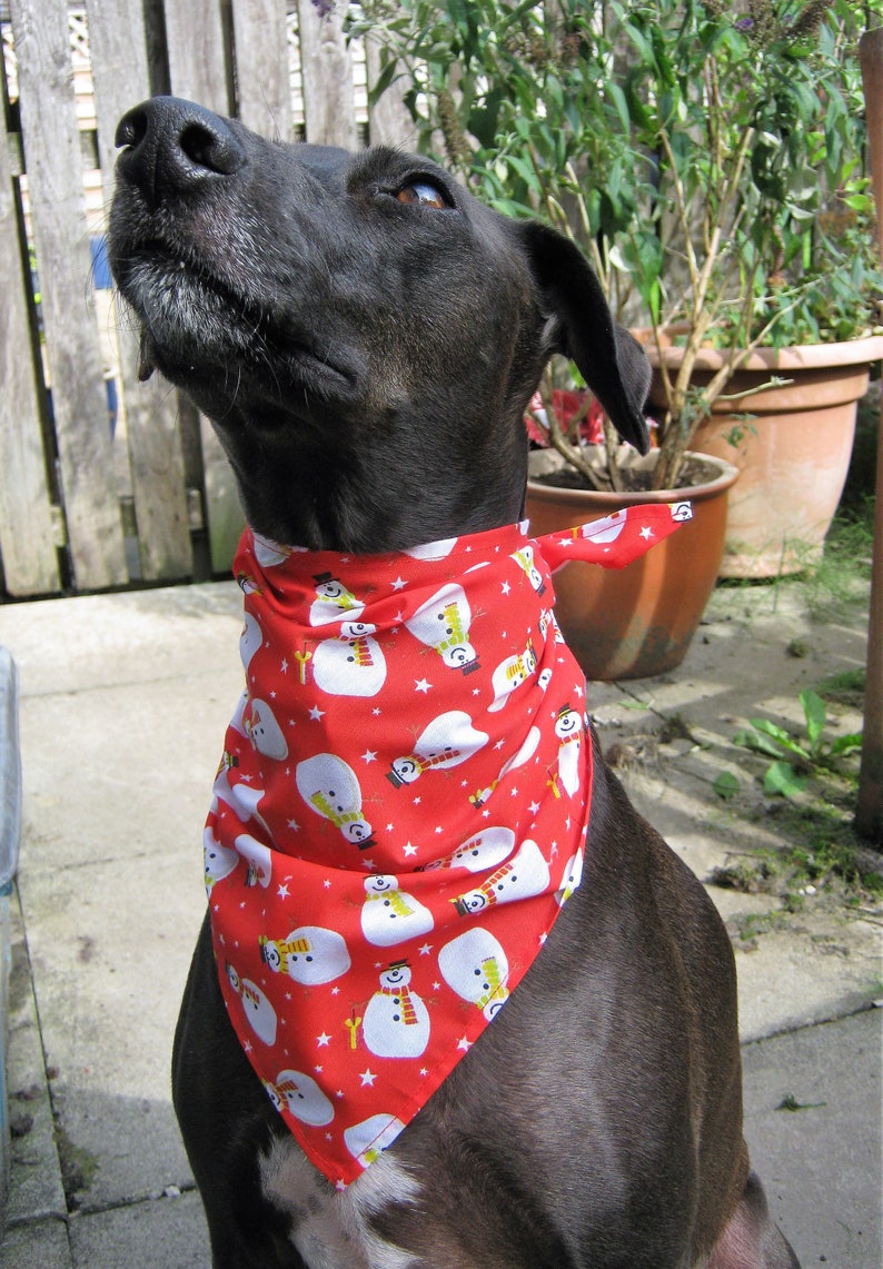 dog neckerchief christmas