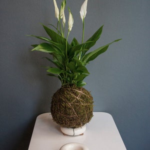 Porzellan Kokedama Halter, Luftpflanzenhalter, Pflanzkorb, Weiße Pflanzgefäße, Ringtöpfe, Sukkulententopf, Weißer Porzellantopf, Porzellantopf