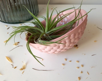 Porcelain Air Plant Holder, Air Plant Holder, Planters, Air Plant Planters, Pink Porcelain Holder, Porcelain Planters, Kokedama Holder