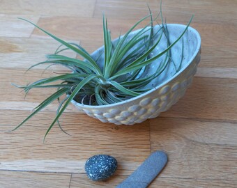 Porcelain Air Plant Holder, Air Plant Holder, Plant Basket, Planters, Air Plant Planters, Gray Porcelain Holder, Porcelain Planters