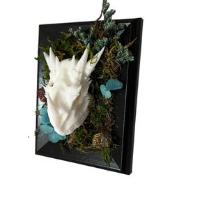Oddities Curio Skull Frame Dragon Skull 3D art