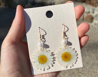 Dried Daisy earrings, Dried flower earrings, Pressed flower earrings, uv resin earrings