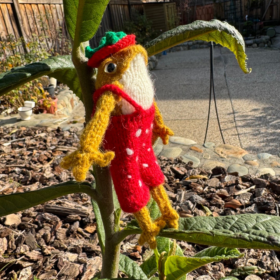 Knitted Little Pocket Frog in Strawberry Coverall and Pet