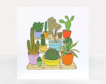 Cacti Family - Greetings Card - Any occasion