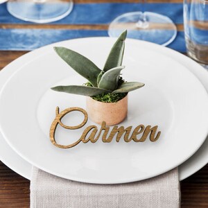 Set of 20- Laser Cut Names // Wedding Place Cards // Custom Place Setting // Guest Name Signs