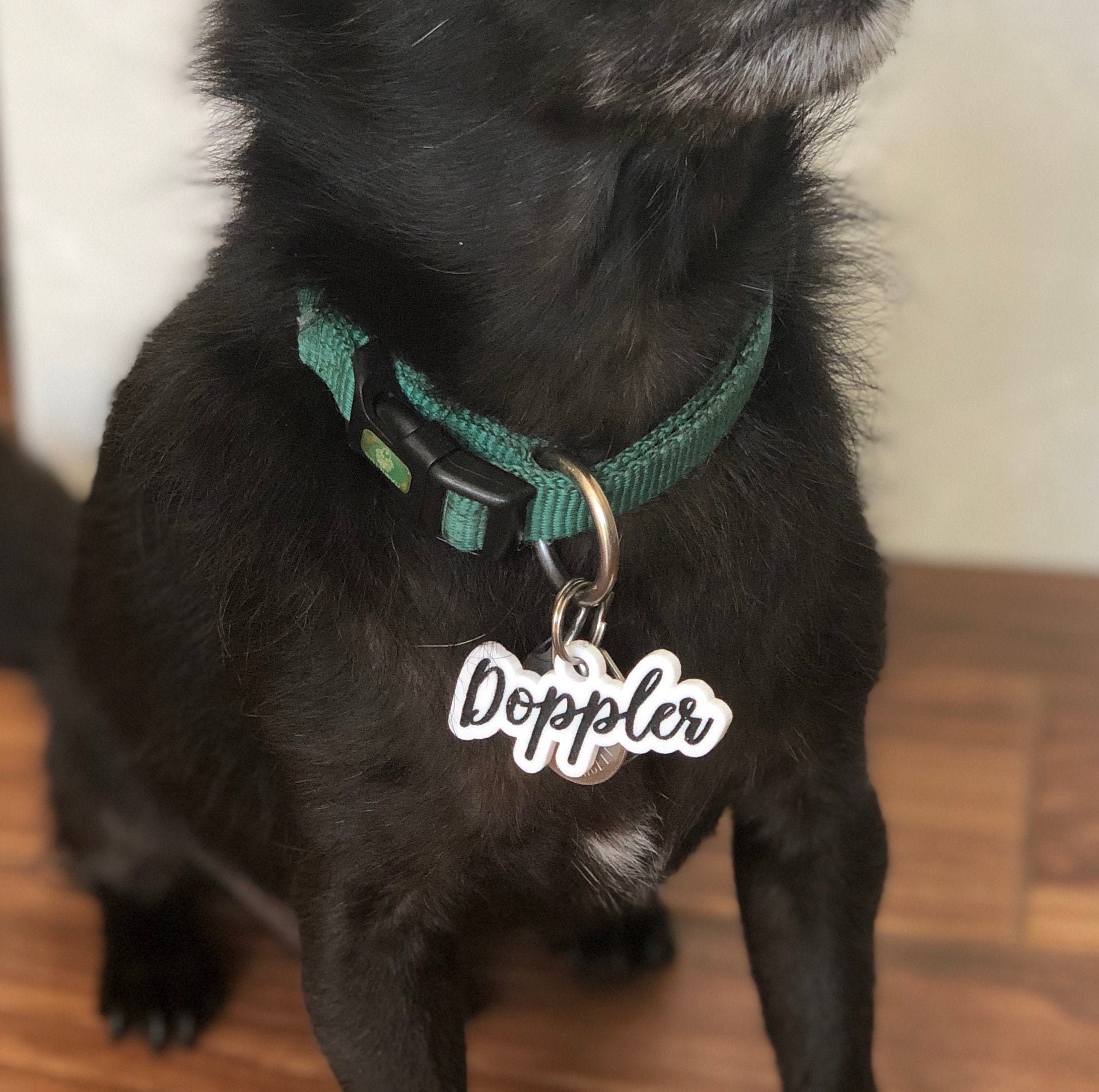 Custom Dog Tag // Acrylic Dog Tag // Personalized Pet Tag // Cat Tag // ID Tag For Dog