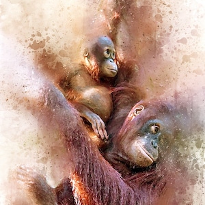 Orangutan Print – Limited Edition Art – From original Phil Daniels painting. A3+ (13” 330mm wide) Giclée  200gsm Acid Free. Signed Numbered