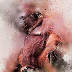 Orangutan Print – Limited Edition Art – From original Phil Daniels painting. A3+ (13” 330mm wide) Giclée  200gsm Acid Free. Signed Numbered