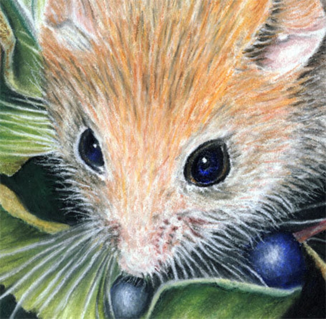 Limited Edition Art Print of original Dormouse painting. | Etsy