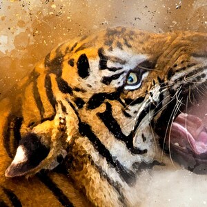 Op de afbeelding: Een close-up van het gezicht van een tijger met zijn bek open in een brul. De vacht van de tijger is oranje en zwart met witte strepen. De achtergrond is een wazige aquarelwas in oranje en bruin.
