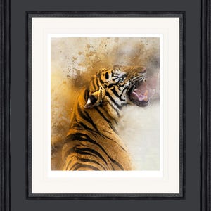 Op de afbeelding: Een close-up van een brulende tijger met zijn bek open, waardoor zijn tanden zichtbaar zijn. De tijger is scherp, terwijl de achtergrond wazig is en een aquareleffect heeft met spatten in geel, bruin en wit.