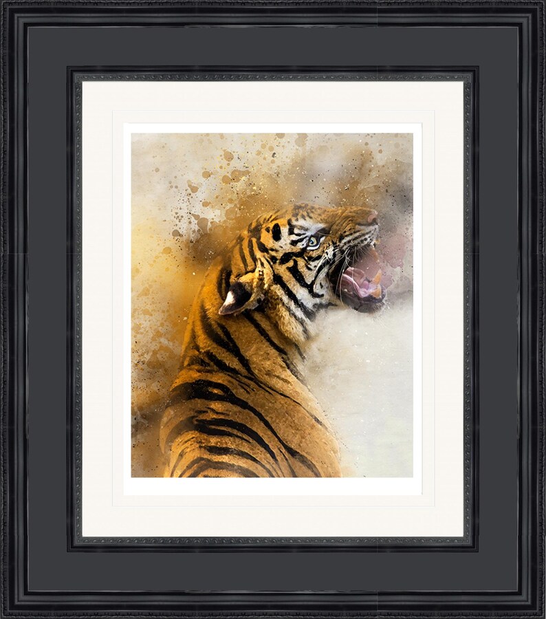 Op de afbeelding: Een close-up van een brulende tijger met zijn bek open, waardoor zijn tanden zichtbaar zijn. De tijger is scherp, terwijl de achtergrond wazig is en een aquareleffect heeft met spatten in geel, bruin en wit.
