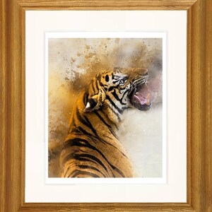 Op de afbeelding: Een close-up van het gezicht van een tijger met zijn bek open, waardoor zijn tanden zichtbaar zijn. De tijger bevindt zich op een aquarelachtige achtergrond met kleurspatten.
