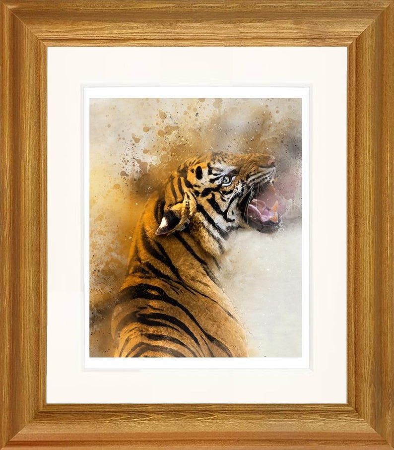 Op de afbeelding: Een close-up van het gezicht van een tijger met zijn bek open, waardoor zijn tanden zichtbaar zijn. De tijger bevindt zich op een aquarelachtige achtergrond met kleurspatten.