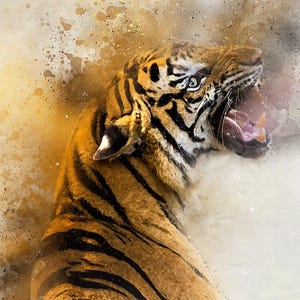 Op de afbeelding: Een aquarel schilderij van een tijger die brult met zijn bek open, waardoor zijn tanden zichtbaar zijn. De tijger is bruin en zwart met strepen. De achtergrond is lichtbruin met spatten van geel en blauw.