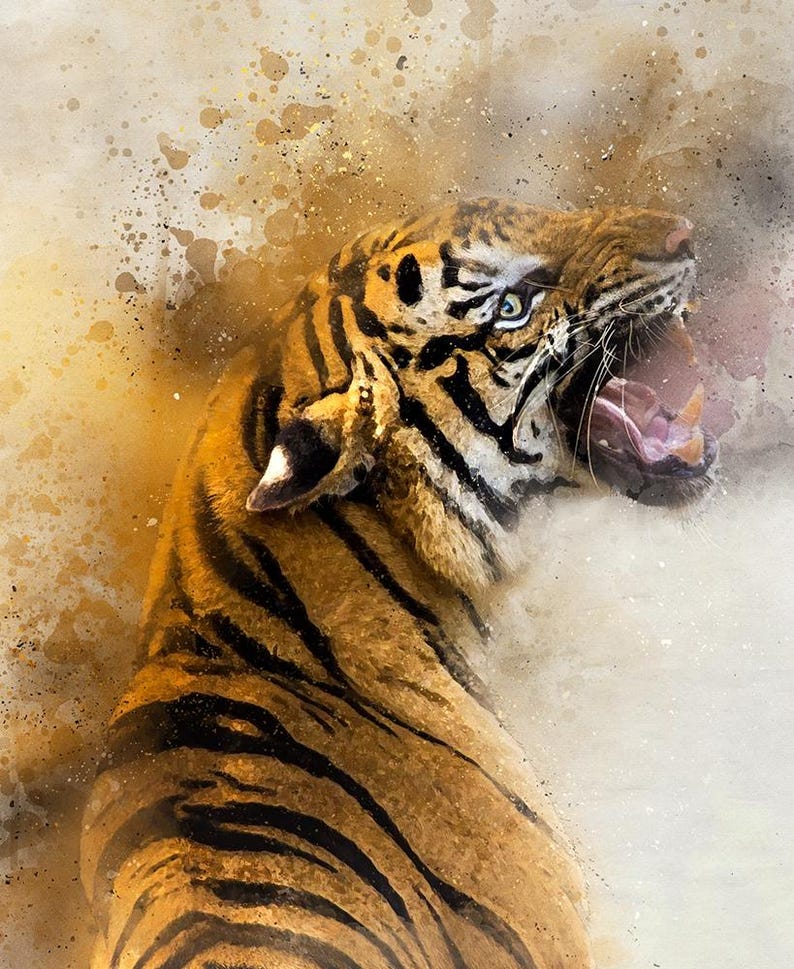 Op de afbeelding: Een aquarel schilderij van een tijger die brult met zijn bek open, waardoor zijn tanden zichtbaar zijn. De tijger is bruin en zwart met strepen. De achtergrond is lichtbruin met spatten van geel en blauw.