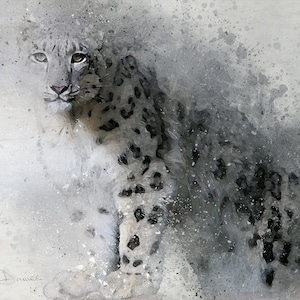 Snow Leopard Print – Limited Edition Art – From original Phil Daniels painting A3+ (13” 330mm wide) Giclée 200gsm Acid Free. Signed Numbered
