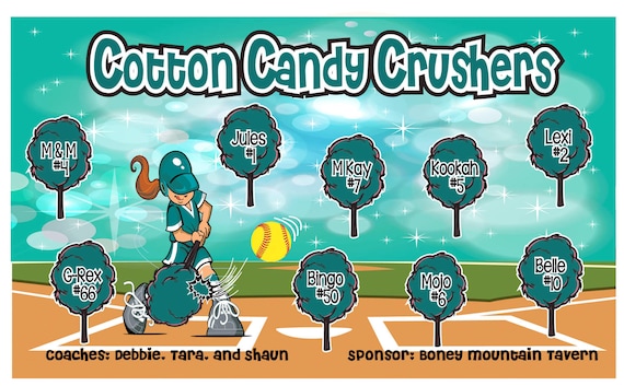 Softball Banners Custom Photo Banner TOO! Professional Full Color 13 oz Vinyl Banner Team