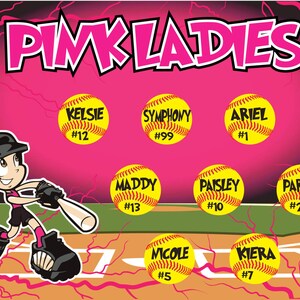 May include: A pink and black softball team banner with the words "Pink Ladies" at the top. The banner features a cartoon softball player and 10 softball-shaped name tags with player names and numbers.