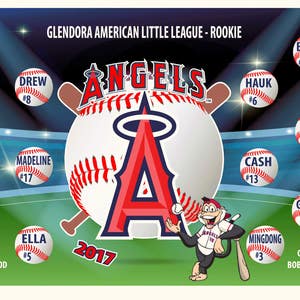Little League Baseball and Softball Team Banners. Custom Photo Banners TOO!!! Professional Full Color 13 oz Vinyl Banner