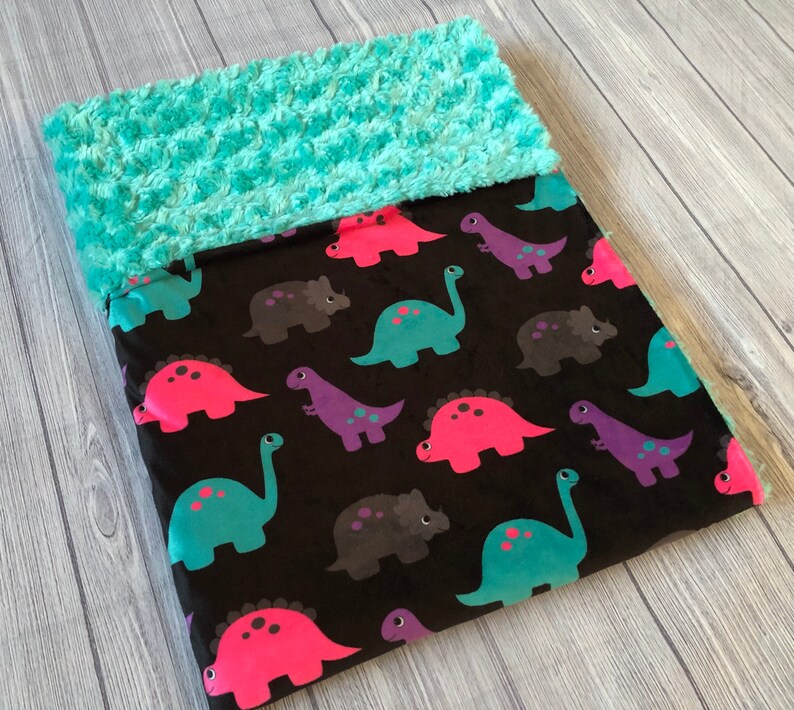 Personalized Dinosaur Blanket Minky Baby Blanket Baby Girl Etsy