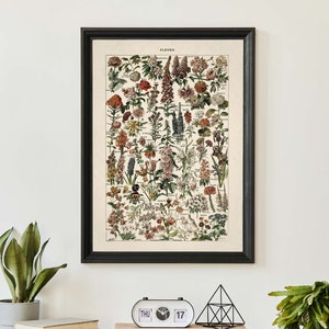 Vintage poster bloemenkaart, Adolphe Millot-print, antieke bloemenprint, botanische woondecoratie