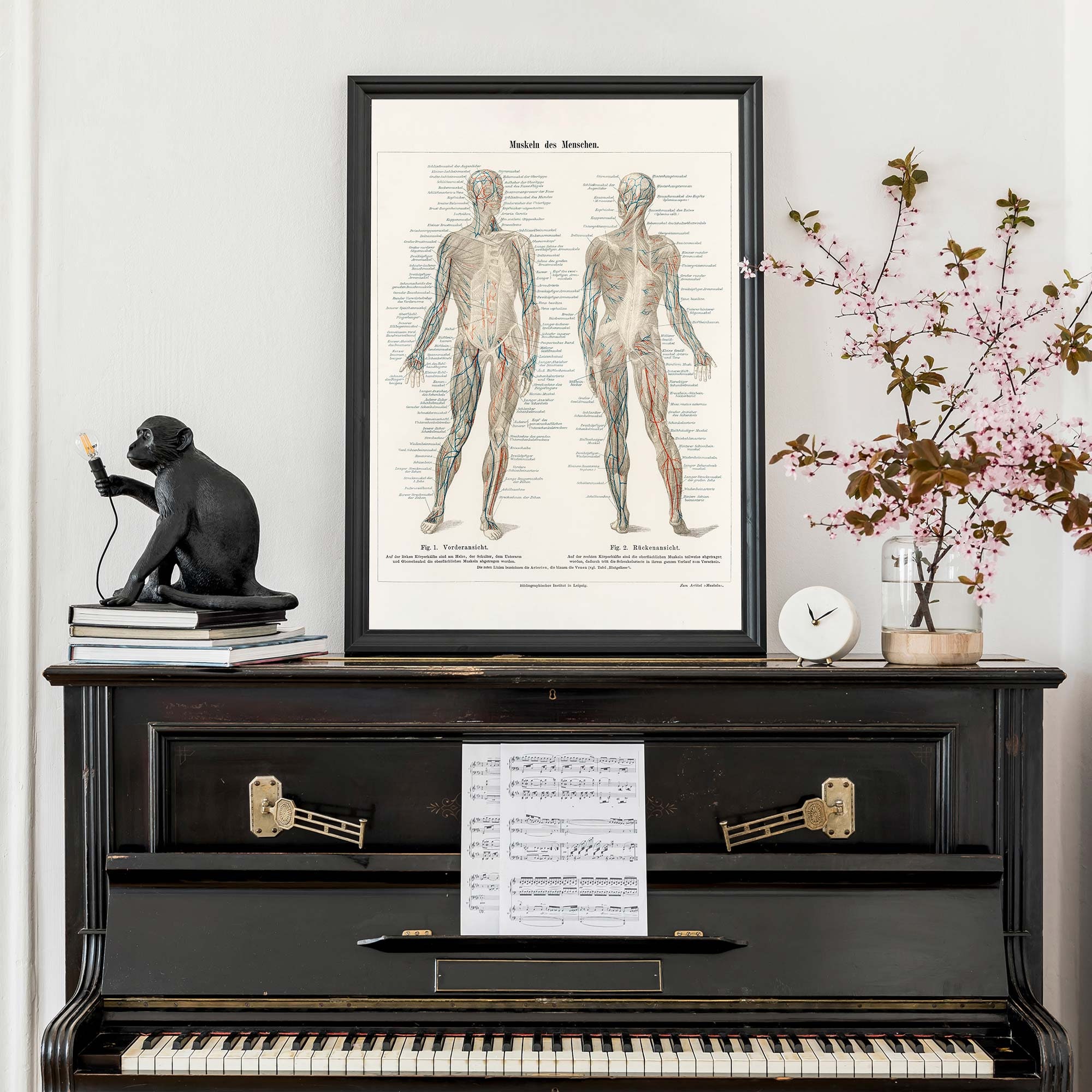 Vintage Human Anatomy Print, Medical Wall Art, Musculature System Chart ...