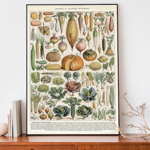 Vintage groenteposter, keukenmuurkunst, antieke voedselillustratie, botanisch huisdecor