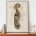 see more listings in the Vintage Science Prints section
