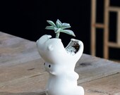 White Ceramic Hippo Planter Decorative Flower Pot Multifunctional Container Holder Animal Figurines Home Garden Decor