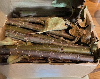 Organic Fresh Orchard Apple Wood 50g-1kg, Rabbit, Small Animal Chew Stick