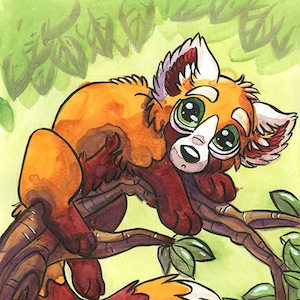 Original watercolor illustration featuring a cute little red panda decoration girl gift