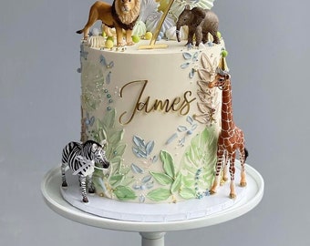 Personalised birthday cake topper acrylic custom name charm motif