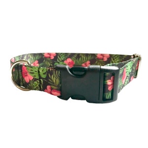 Maui Dog Collar