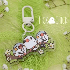Puede incluir: Un llavero de acrílico transparente blanco con tres pinzones de dibujos animados posados en una rama con hojas verdes y flores blancas. El llavero tiene un anillo de metal plateado y un cierre de metal blanco. El texto "Pick Chick" está impreso en el llavero.