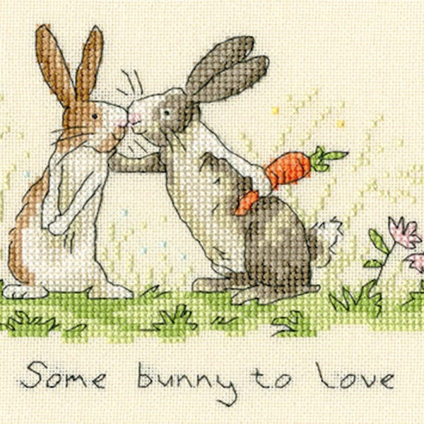 Bothy Threads Some Bunny To Love Counted Cross Stitch Kit Anita Jeram XAJ3