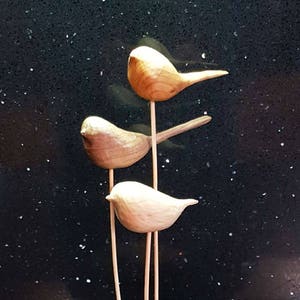 Bird flock