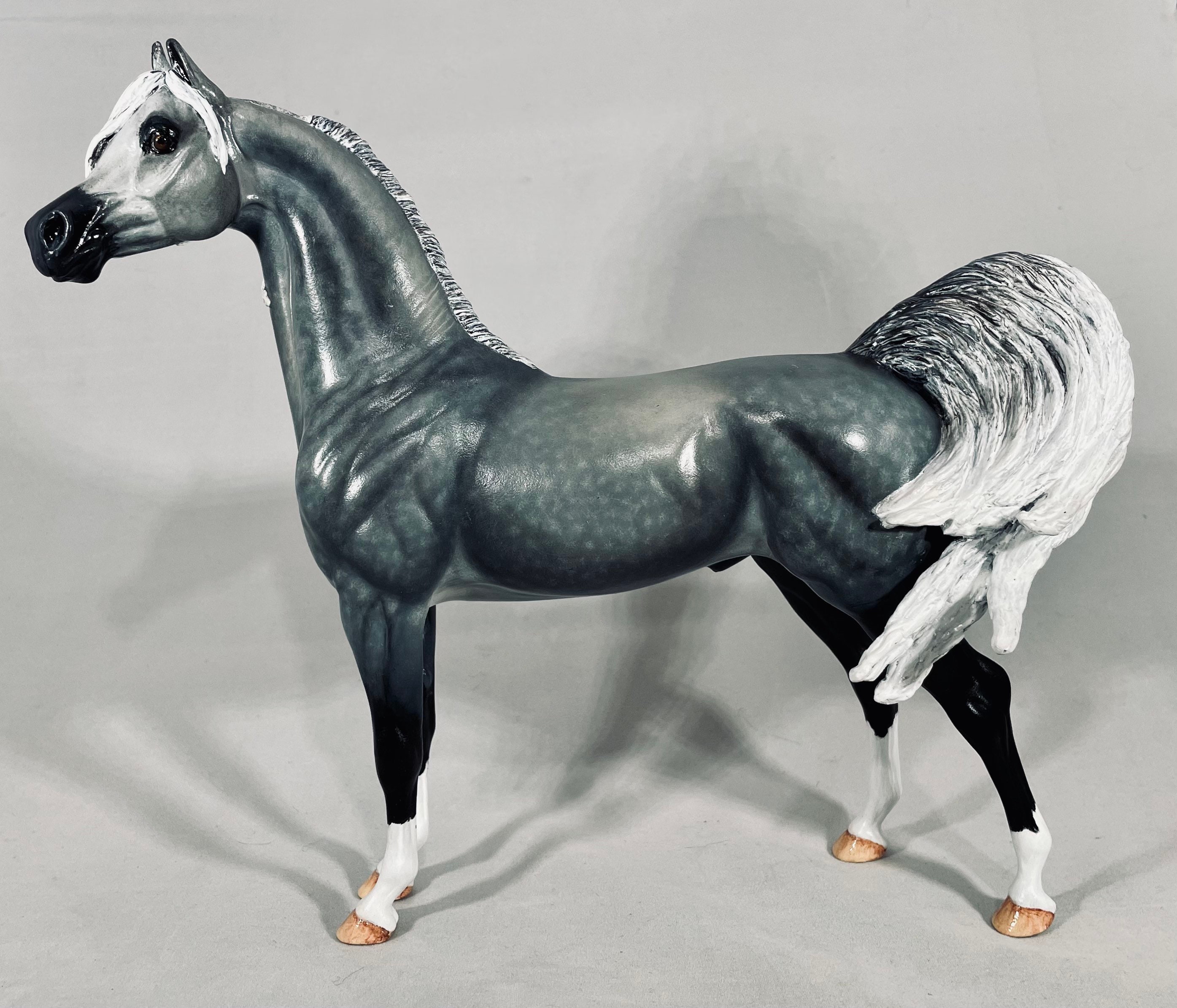 Peter Stone Horses for sale | Only 2 left at -70%